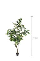 Pianta Artificiale Ficus con Vaso H 213 cm-4