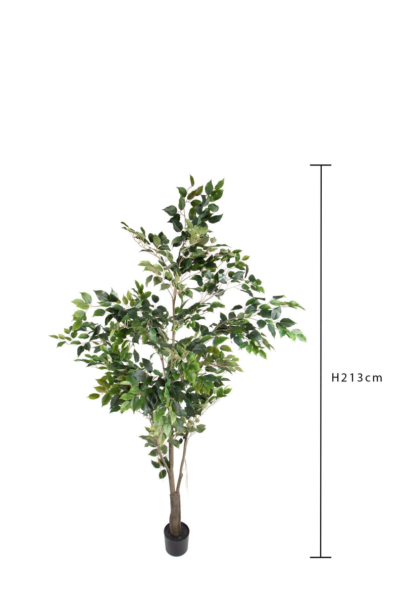 Pianta Artificiale Ficus con Vaso H 213 cm-4