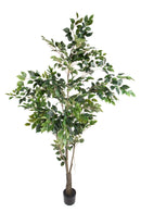 Pianta Artificiale Ficus con Vaso H 213 cm-1