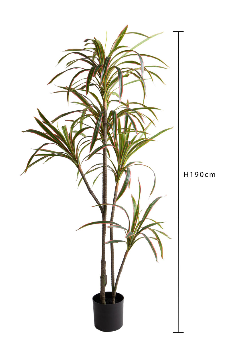 Pianta Artificiale Dracena Marginata con Vaso 190 cm -3