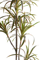 Pianta Artificiale Dracena Marginata con Vaso 190 cm -4