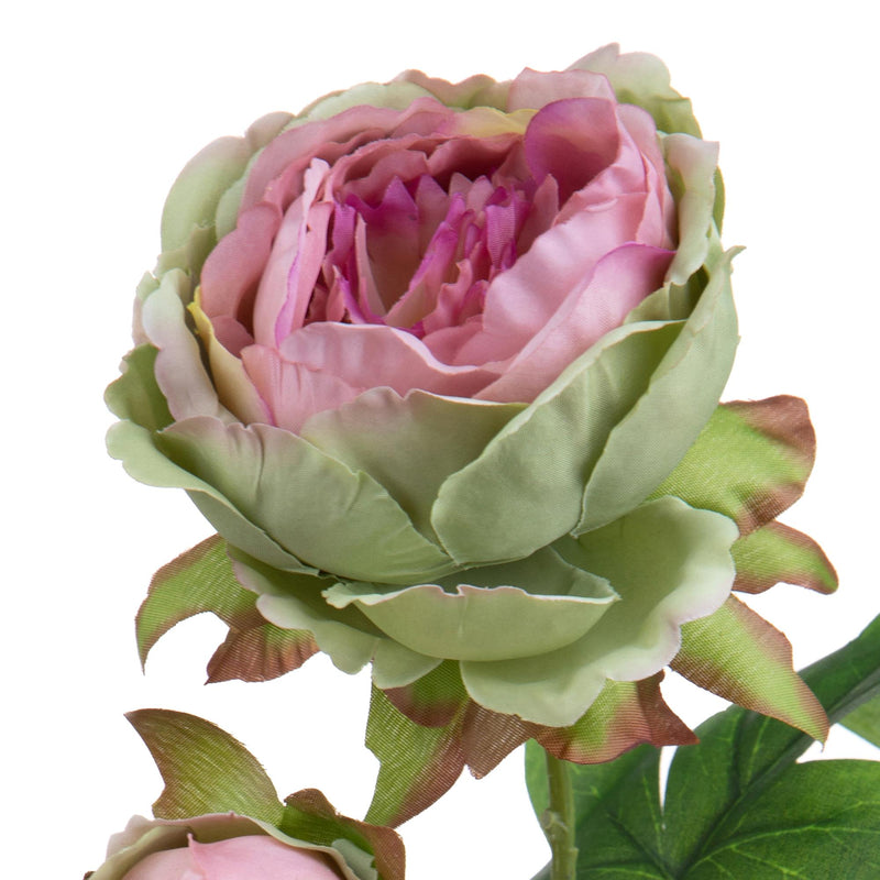 Set 6 Rami Artificiali Peonia per 2 Fiori 60 cm-2