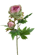 Set 6 Rami Artificiali Peonia per 2 Fiori 60 cm-1