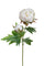 Set 6 Rami Artificiali Peonia per 2 Fiori 60 cm